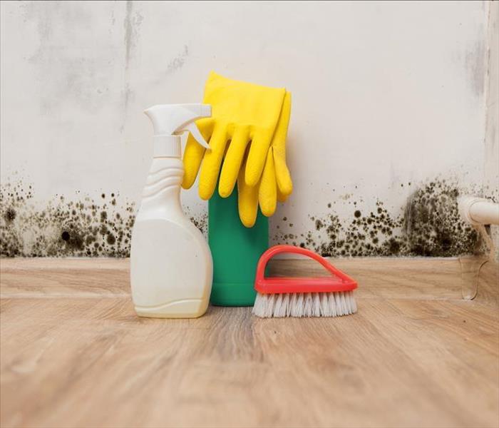 White wall with mold growing at the base of the wall with a spray bottle yellow rubber gloves and a scrub brush