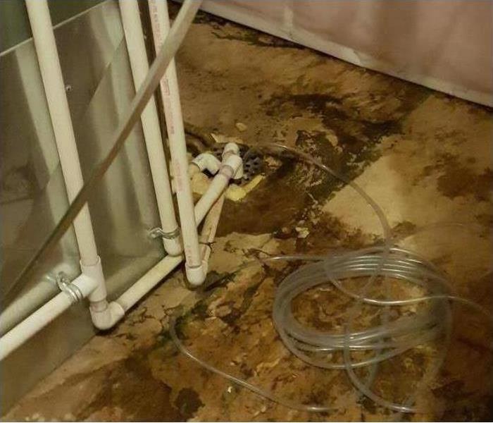 Mold growing on subfloors where the pipes meet the floor