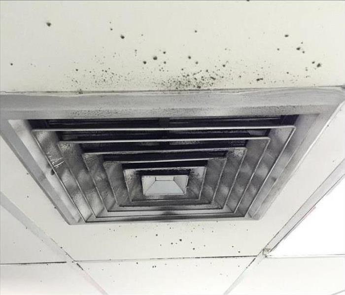 Mold growth around air ducts